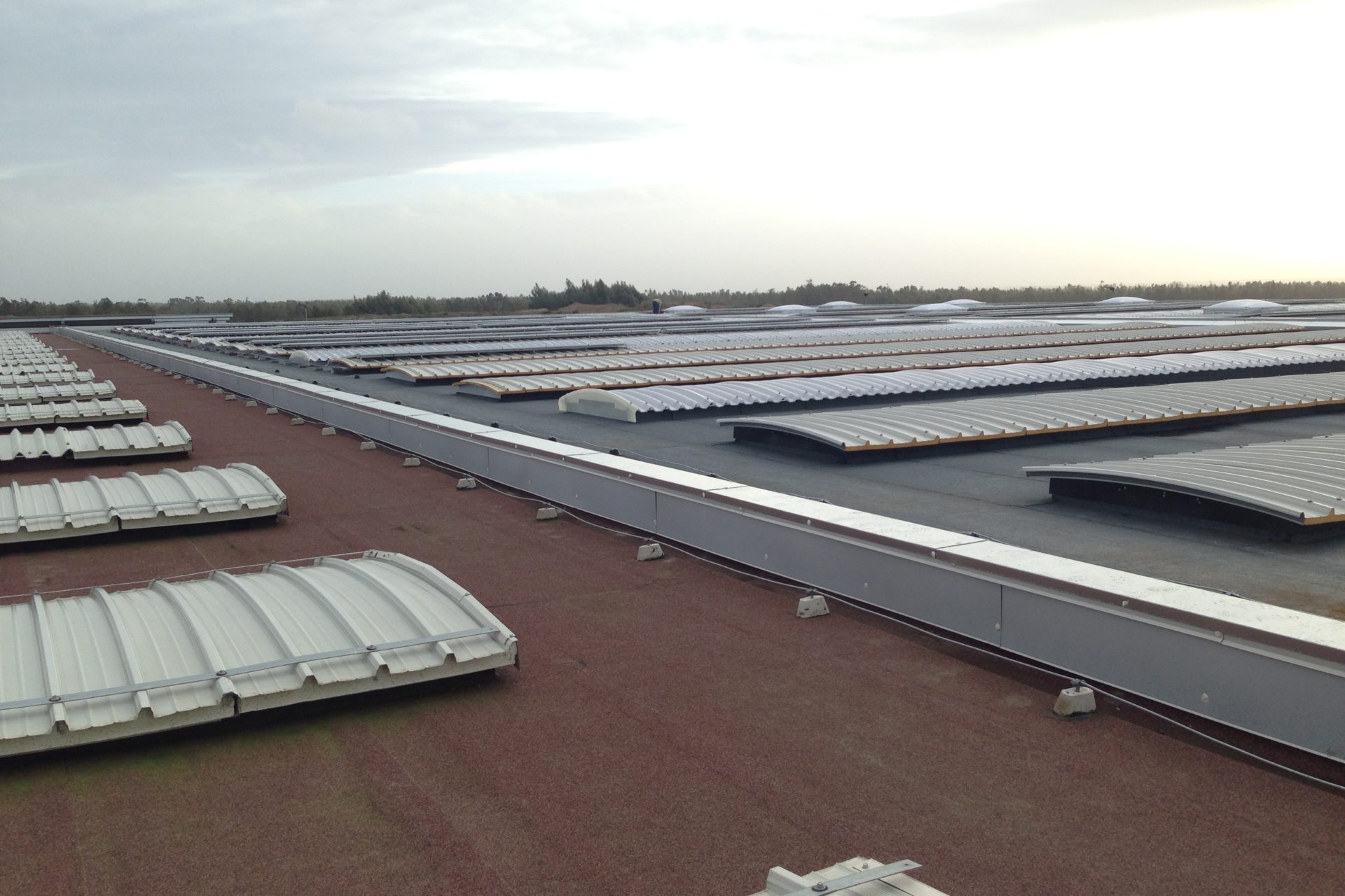 Impermeabilizzazione e coibentazione copertura fabbricato industriale in doppio strato di guaina bituminosa Arborea, Oristano – Sardegna